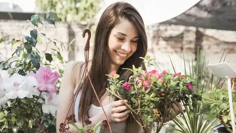 Balancing Beauty and Function in Your Landscape Design